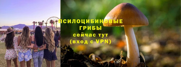 хмурый Надым