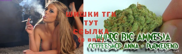 мдпв Навашино