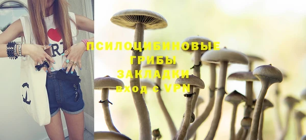 Альфа ПВП Фёдоровский