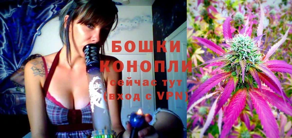 ГАЛЛЮЦИНОГЕННЫЕ ГРИБЫ Радужный