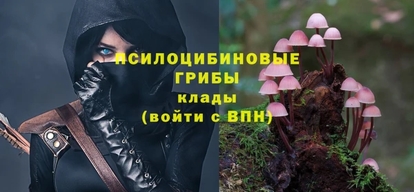 мдпв Навашино