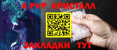 индика Гусев