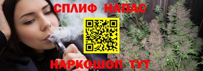 индика Гусев