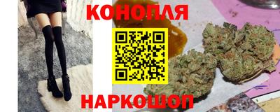индика Гусев