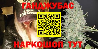 индика Гусев