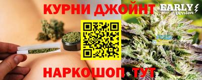 индика Гусев