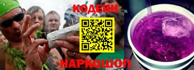 индика Гусев