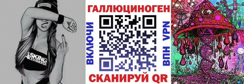 Псилоцибиновые грибы Psilocybine cubensis  Пятигорск 