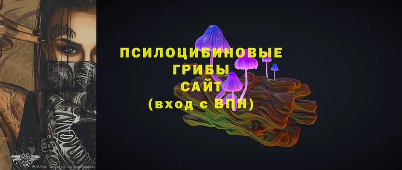 omg онион  Пятигорск  Галлюциногенные грибы Cubensis  магазин   