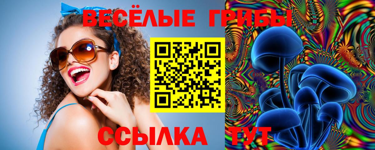 Галлюциногенные грибы ЛСД  Пятигорск 