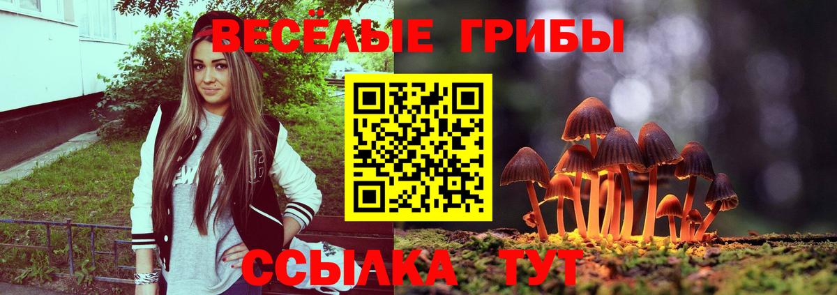 Пятигорск  Псилоцибиновые грибы Magic Shrooms  Вход с VPN 