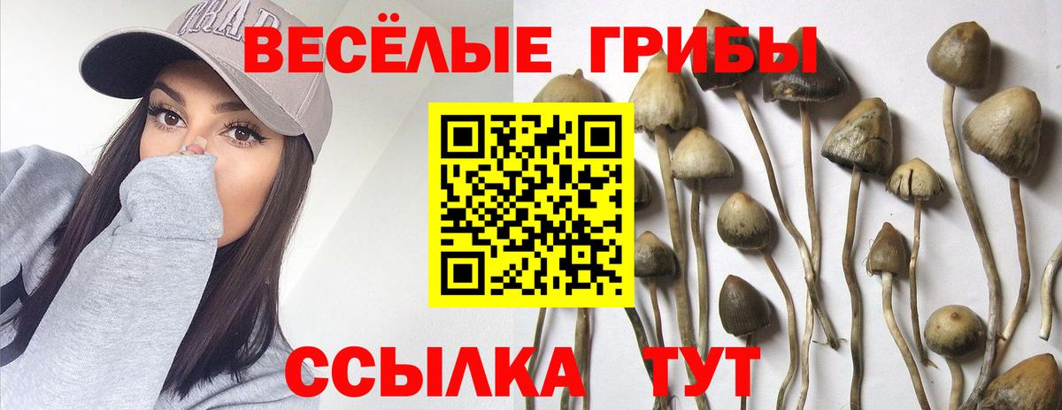 Каннабис  Марихуана  Вход с VPN  НБОМе  MDMA  Меф   Пятигорск  ГАШИШ  КОКАИН 