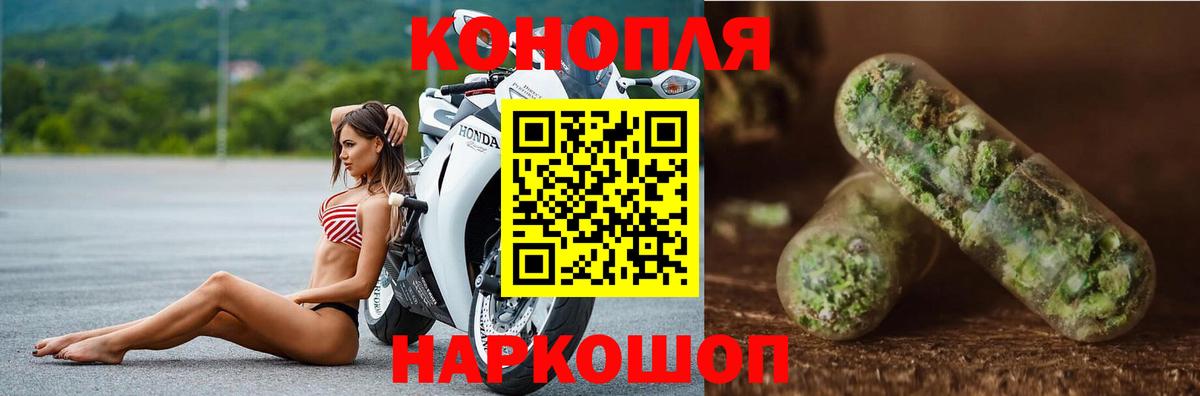Бошки Шишки ГИДРОПОН Пятигорск